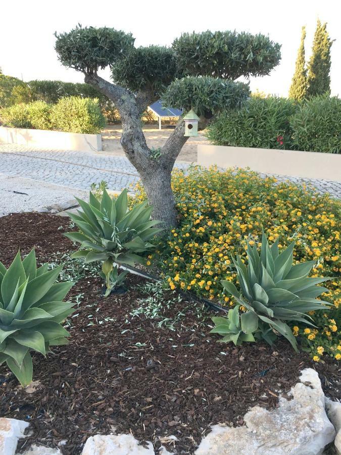 קארבואירו Quinta Do Pinheiro Manso - Holidays Villa - Marinha Beach מראה חיצוני תמונה